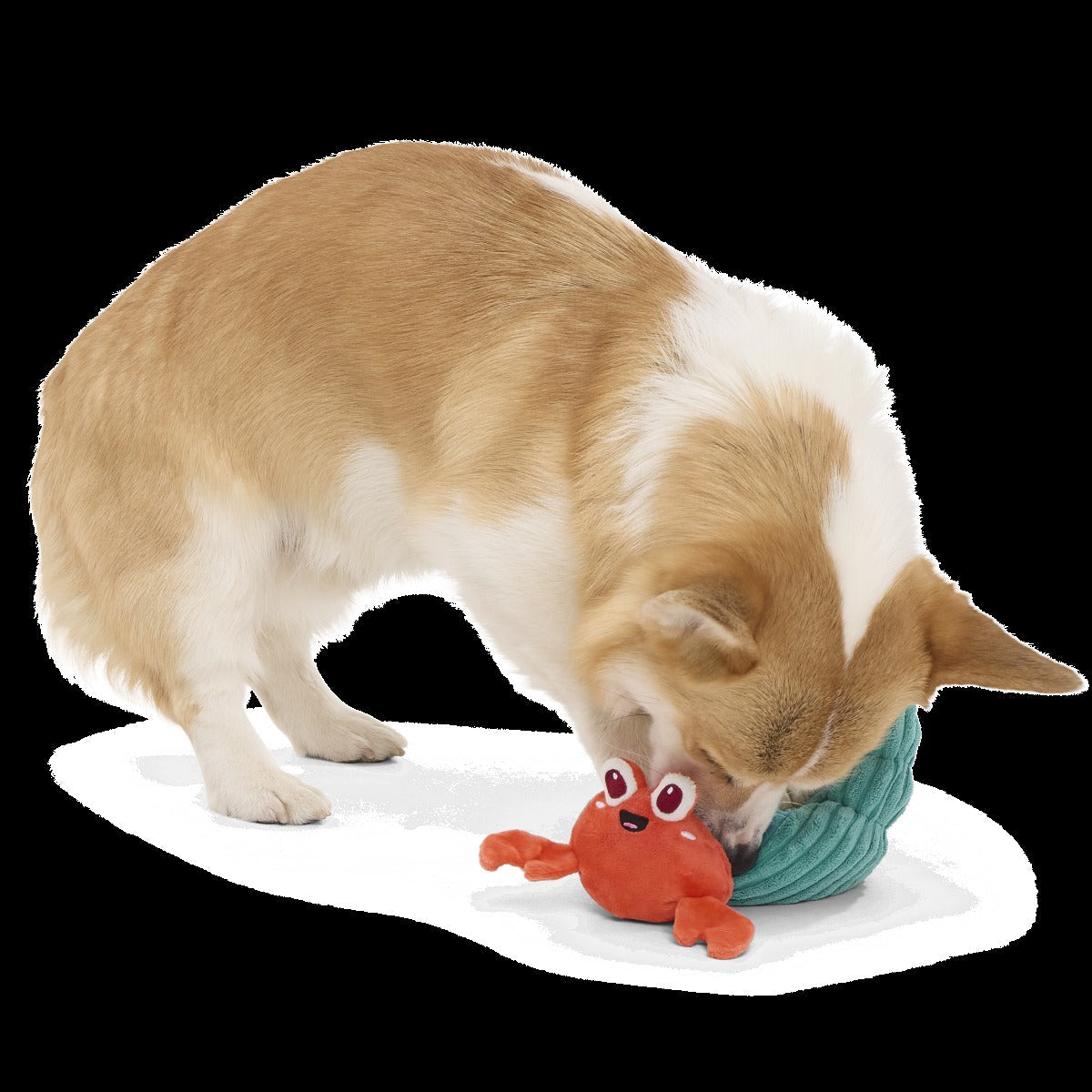 Herman the Hermit Plush Tug Dog Toy