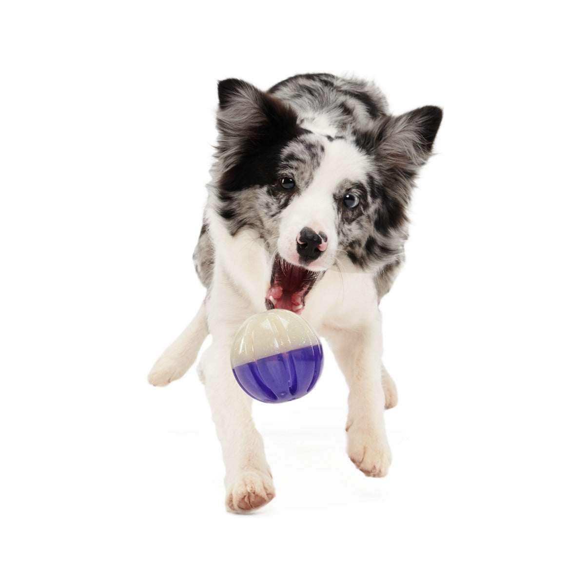 Nepzoom Super Chewer Durable Enrichment + Fetch Dog Toy
