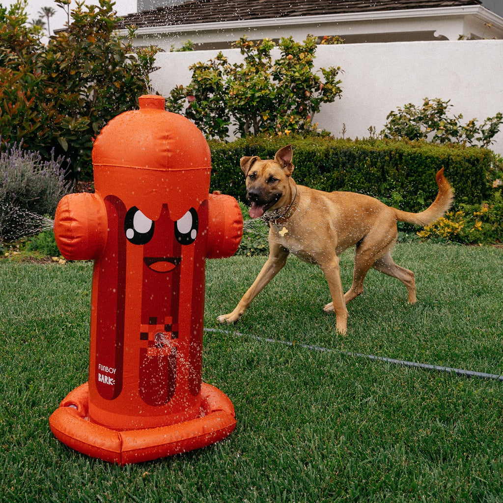 FUNBOY Harry the Hydrant Sprinkler