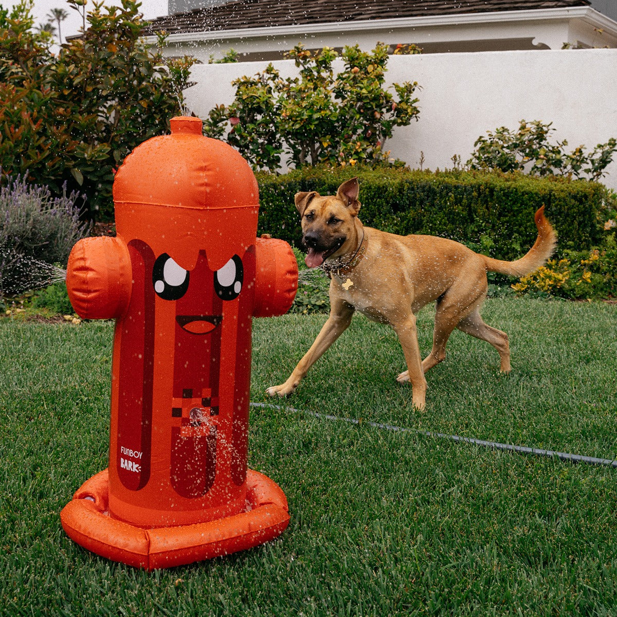 FUNBOY Harry the Hydrant Sprinkler