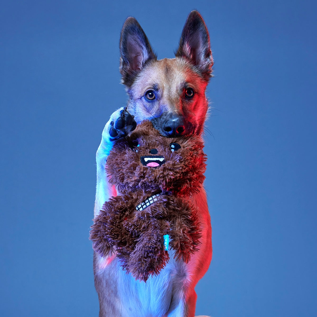Star WarsTM BarkBox - One Month Gift Box