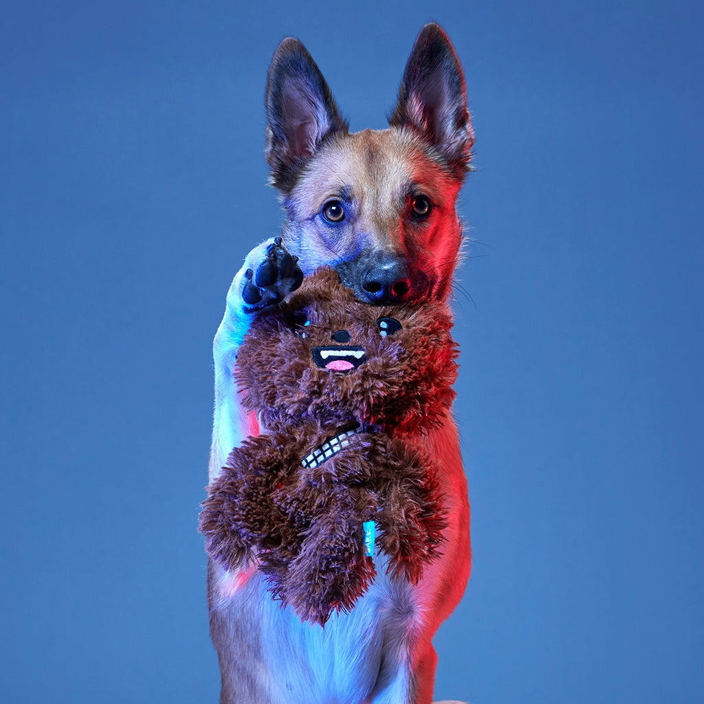 Star WarsTM BarkBox - One Month Gift Box