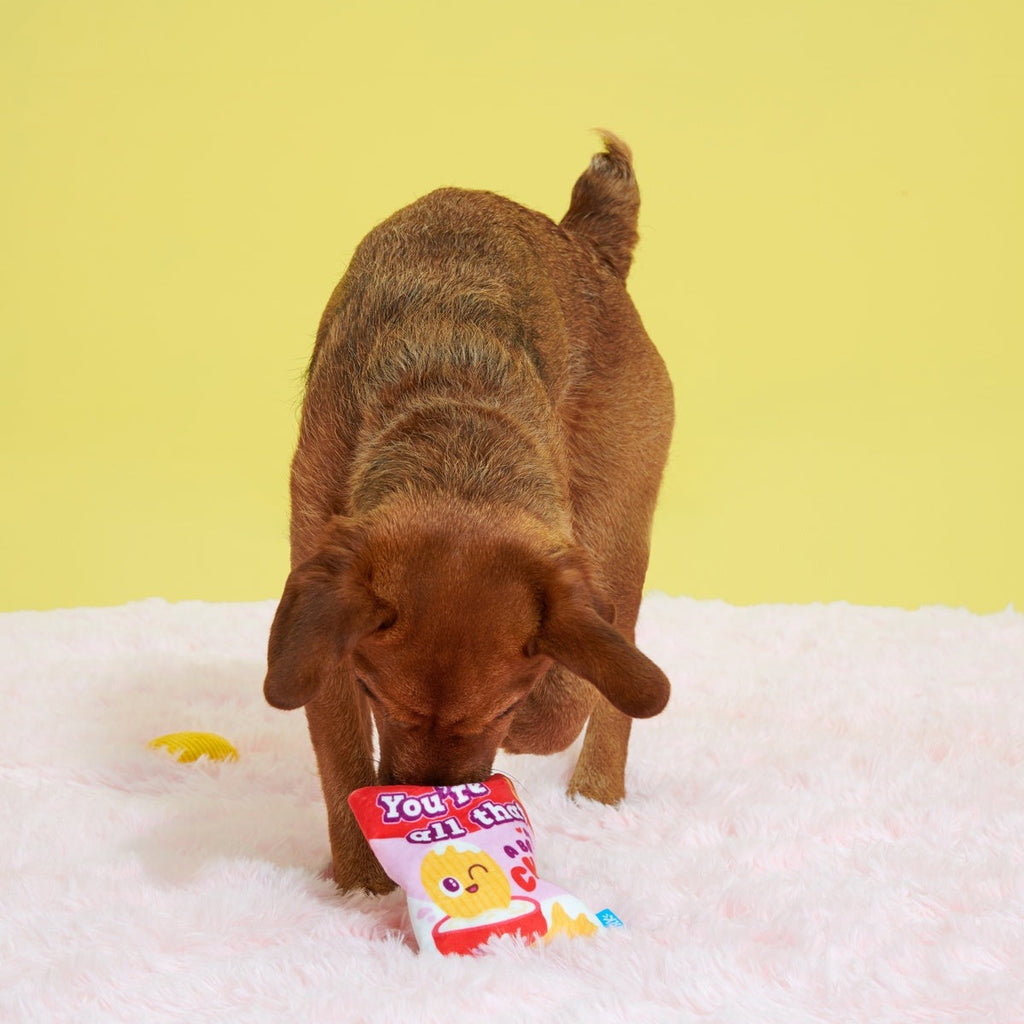 Smitten Chips Plush Enrichment + Multi-Part Dog Toy