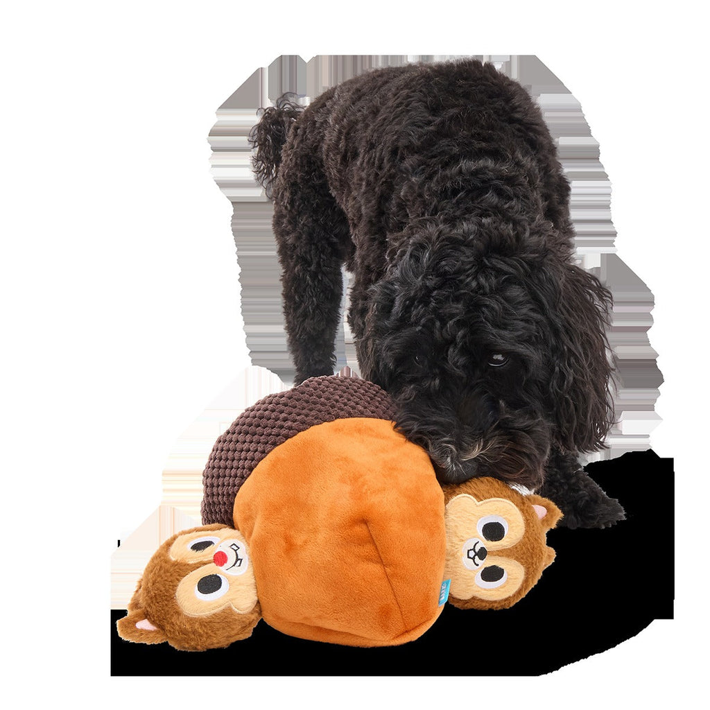 Chip 'N Dale in a Nutshell Plush Multi-Part + Enrichment Dog Toy