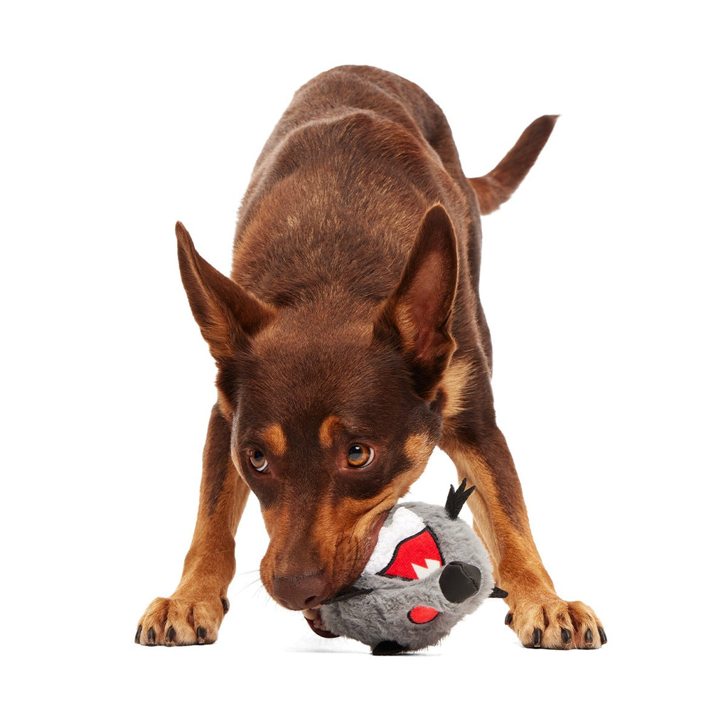 Sewer Chewer Super Chewer Durable 2-in-1 + Fetch Dog Toy