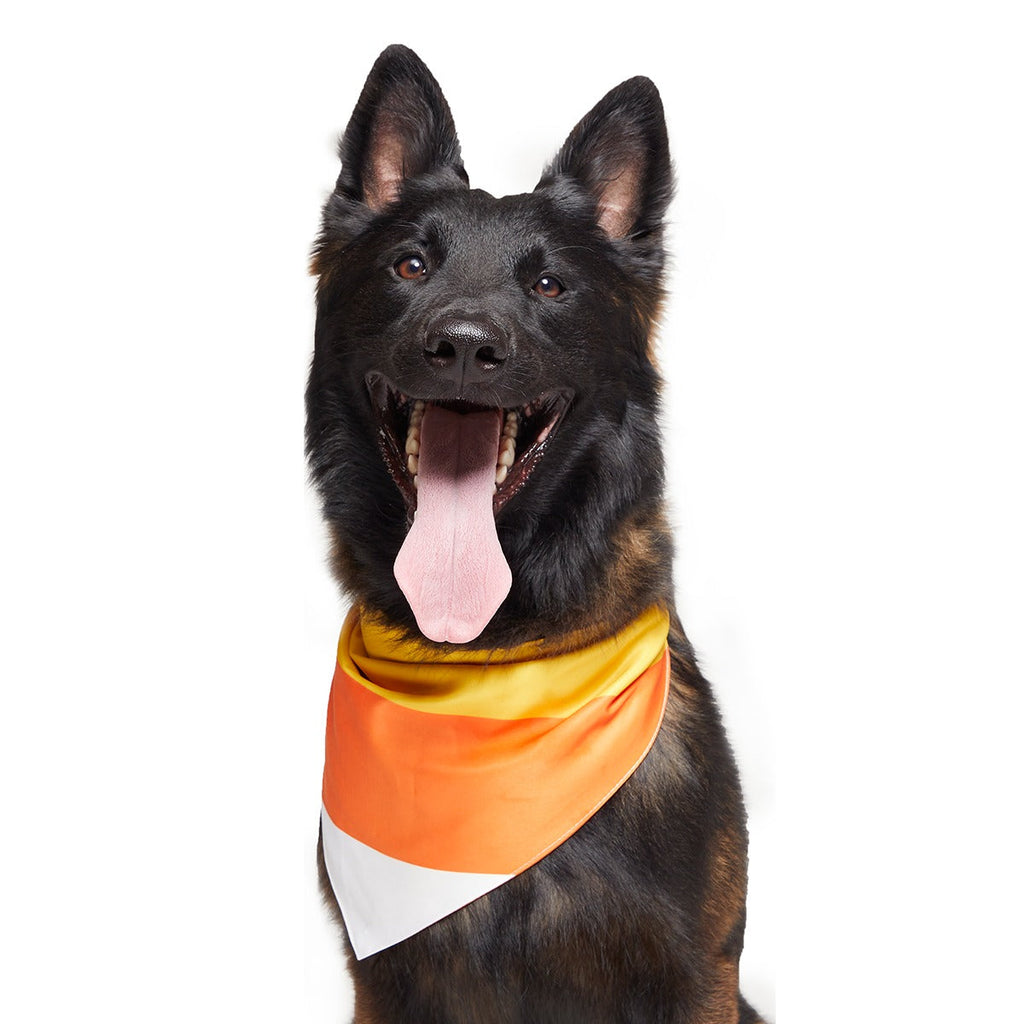 Candy Corn Dog Bandana