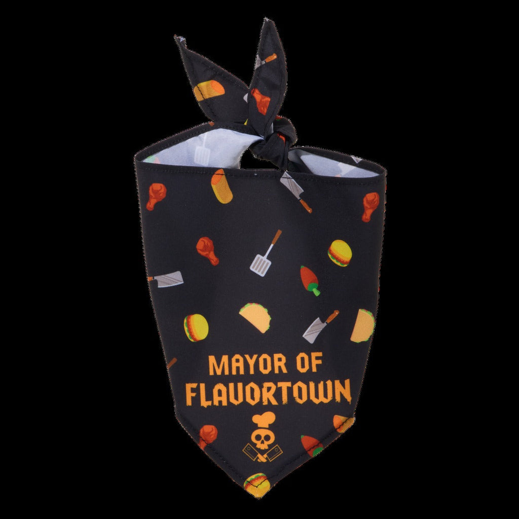FlavortownTM Dog Bandana