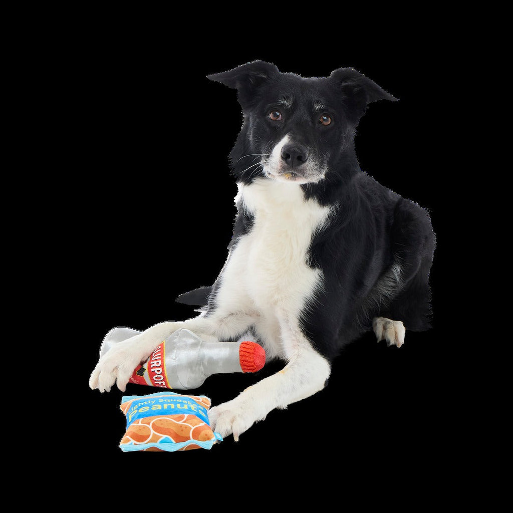 Please Remain Treated Plush Multi-Part Dog Toy