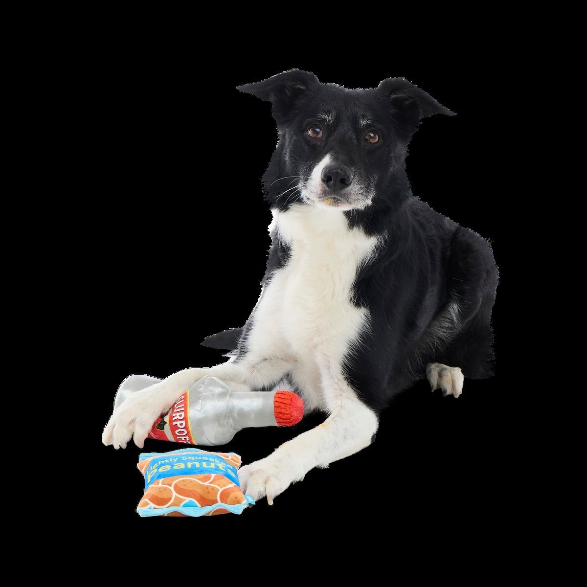 Please Remain Treated Plush Multi-Part Dog Toy