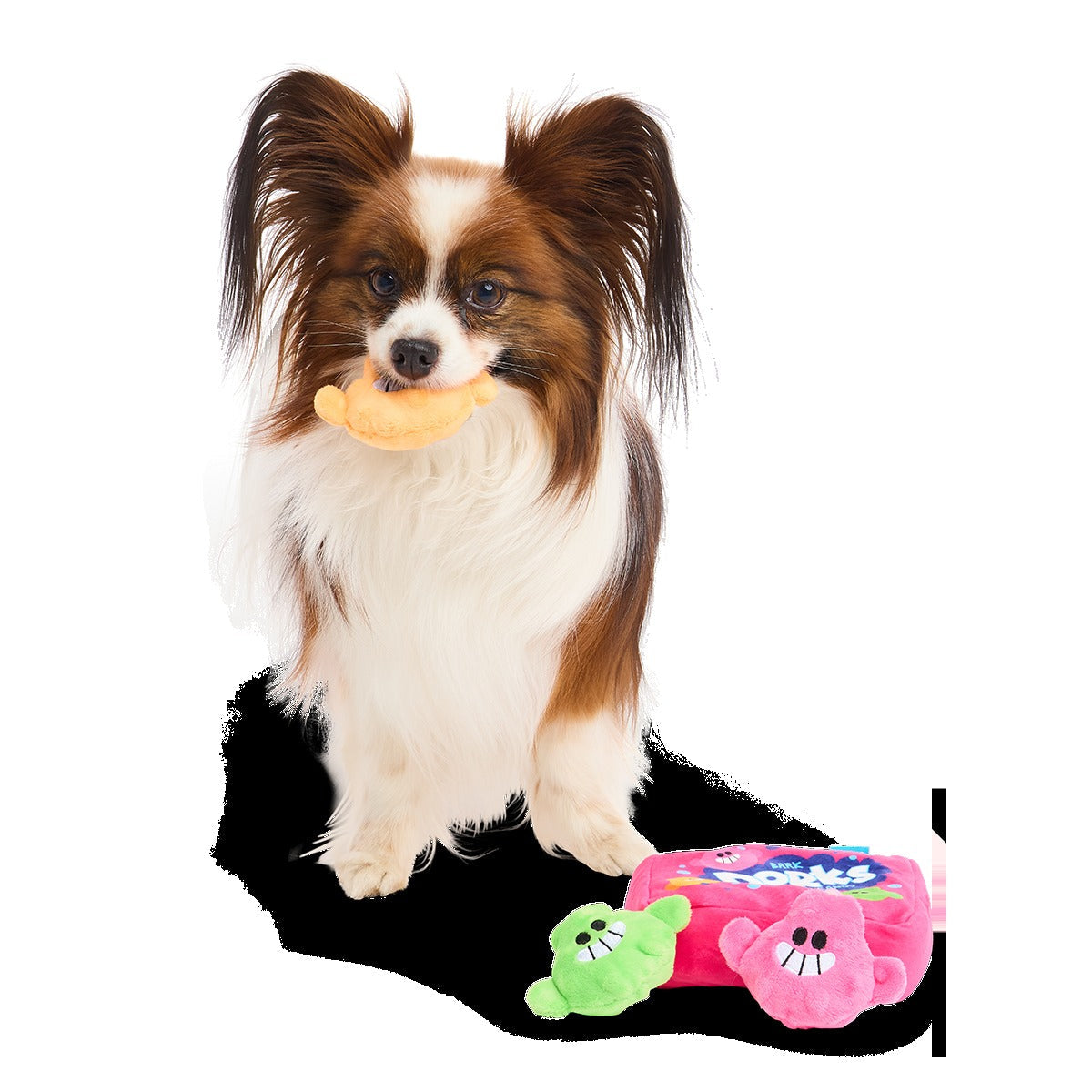 Dorks Plush Multi-Part + Enrichment Dog Toy