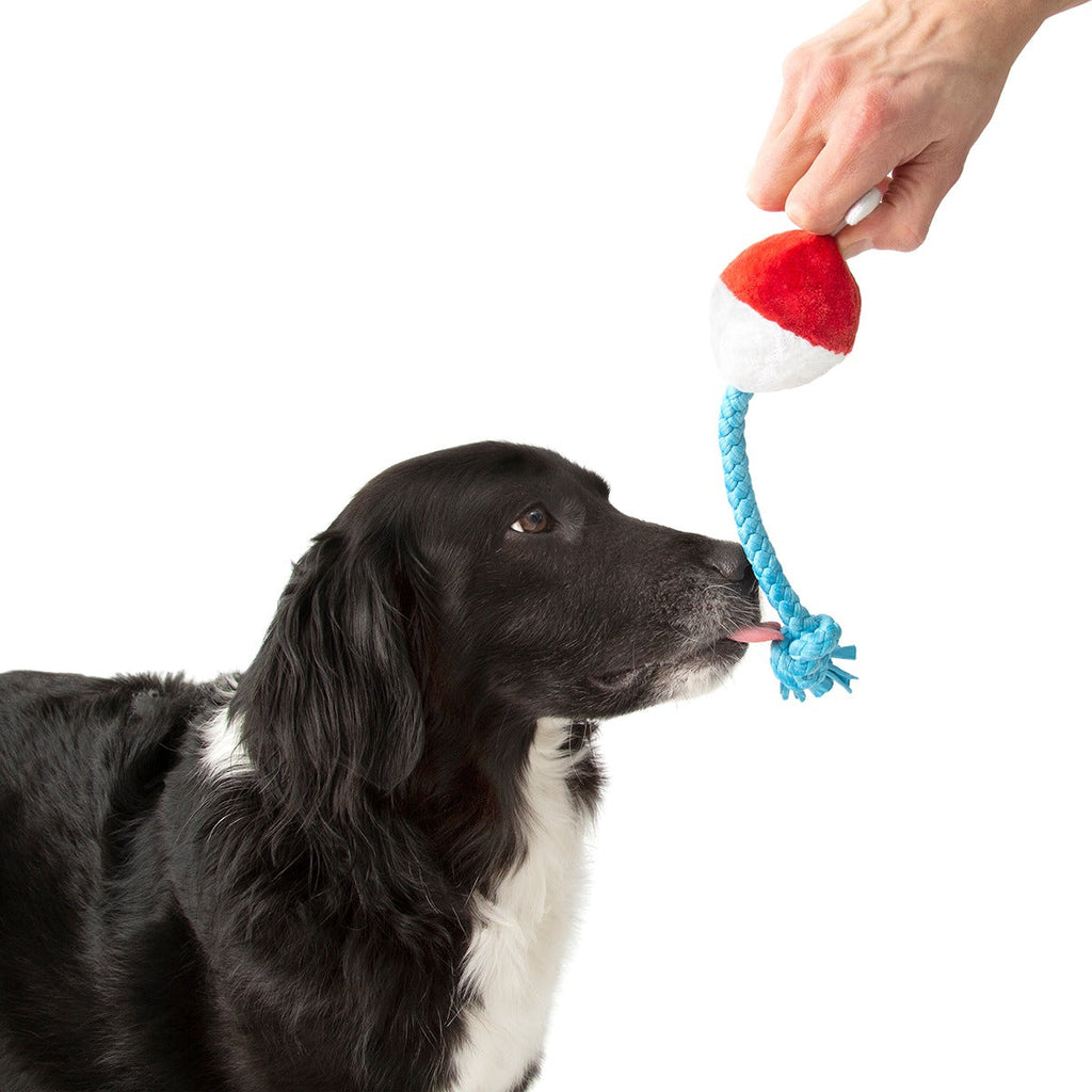 Hook Line and Squeaker Plush Multi-Part + Tug Dog Toy