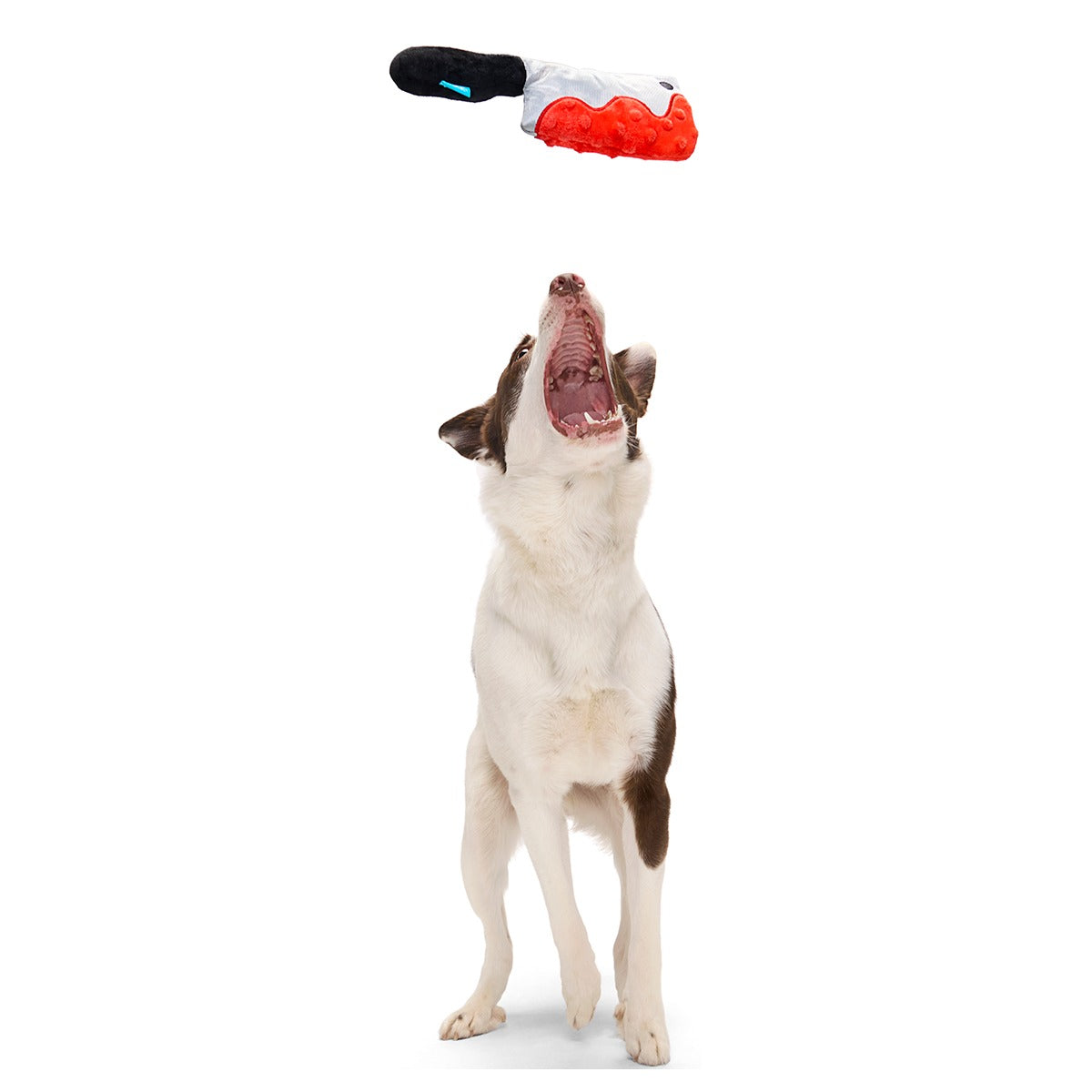 Squeakopath Knife Plush Tug Dog Toy