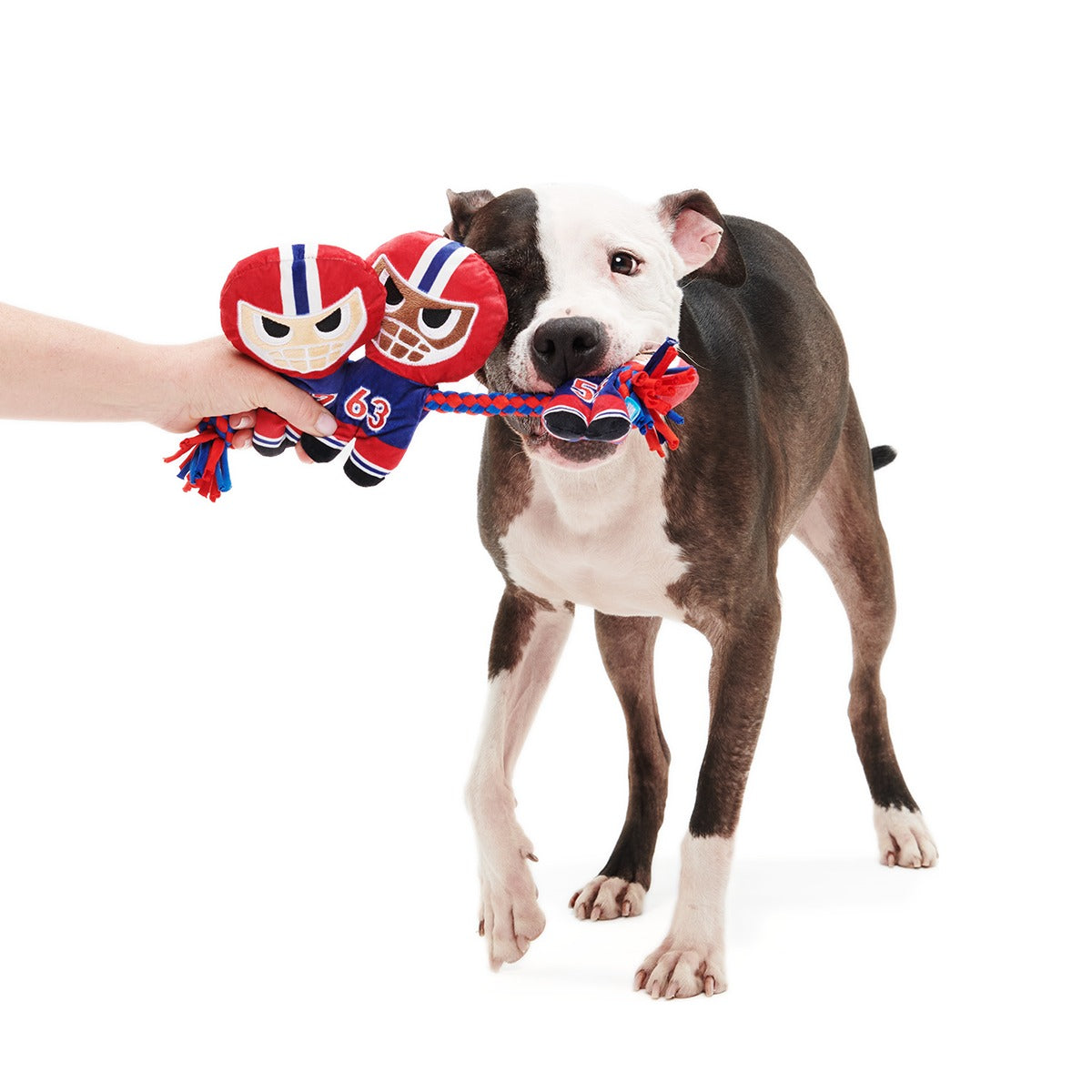 Linebarkers Plush Tug Dog Toy