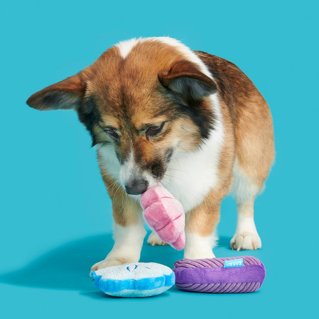 Fetchin' Squeakshells Plush Multi-Part Dog Toy