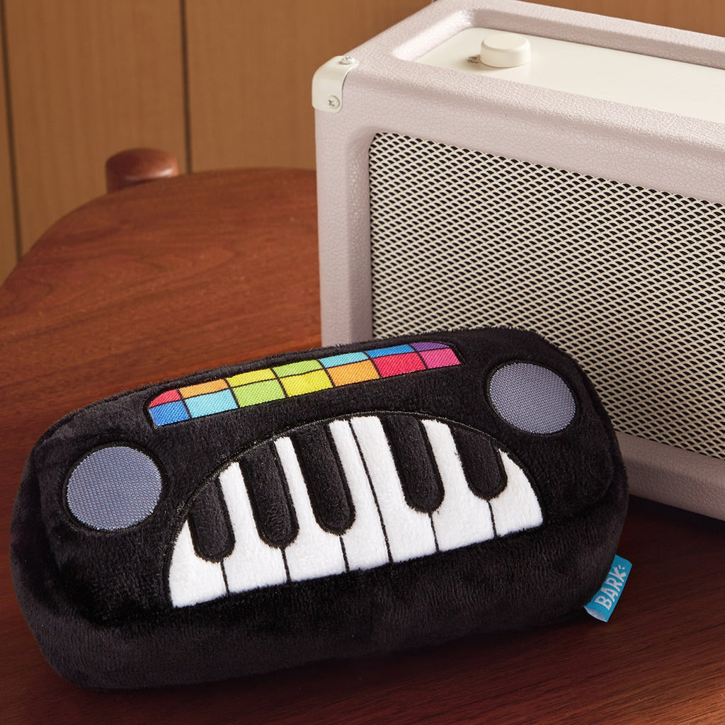 Squeaky Wonder Keyboard Plush Dog Toy