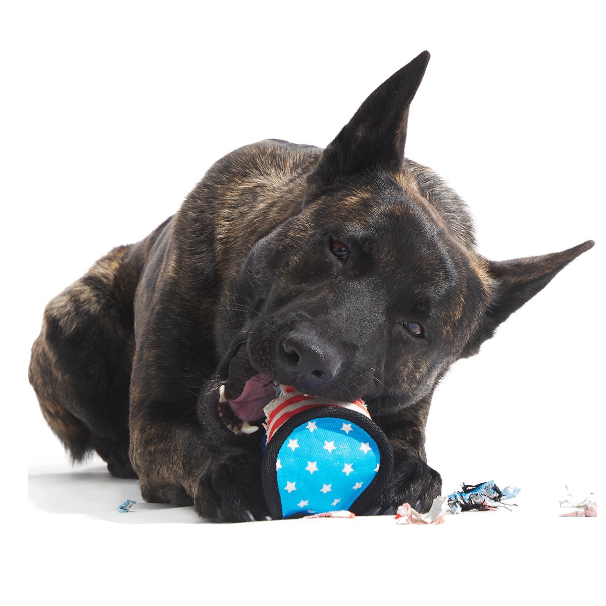 Base Brawl Super Chewer Durable 2-in-1 + Fetch Dog Toy