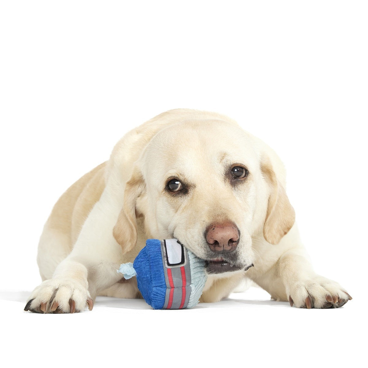Gnar Ball Durable Super Chewer 2-in-1 Rip and Reveal Dog Toy