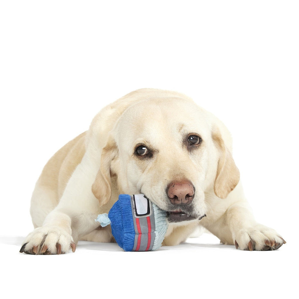 Gnar Ball Durable Super Chewer 2-in-1 Rip and Reveal Dog Toy