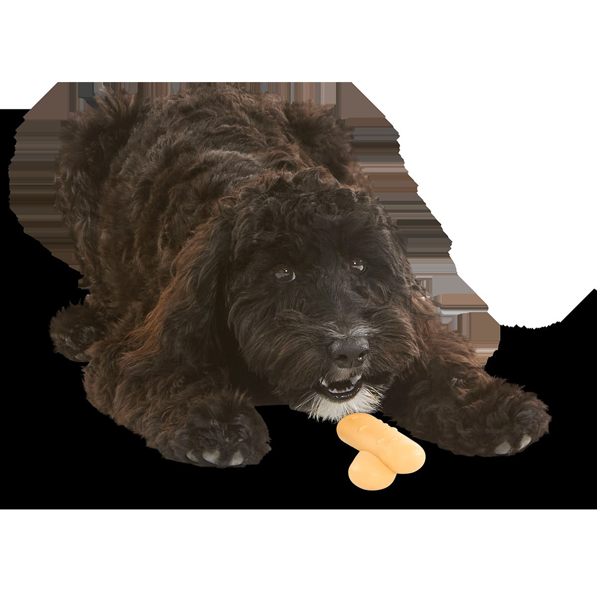 Lady Fingrrrs Super Chewer Durable Gnaw + Enrichment Dog Toy