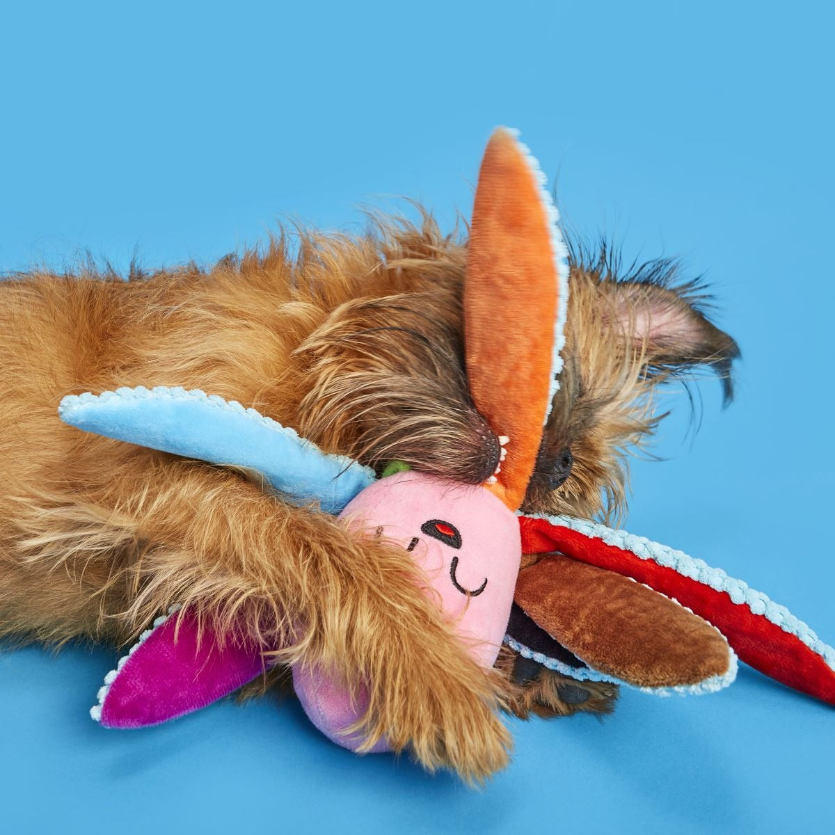 Out Ollie Plush Tug Dog Toy