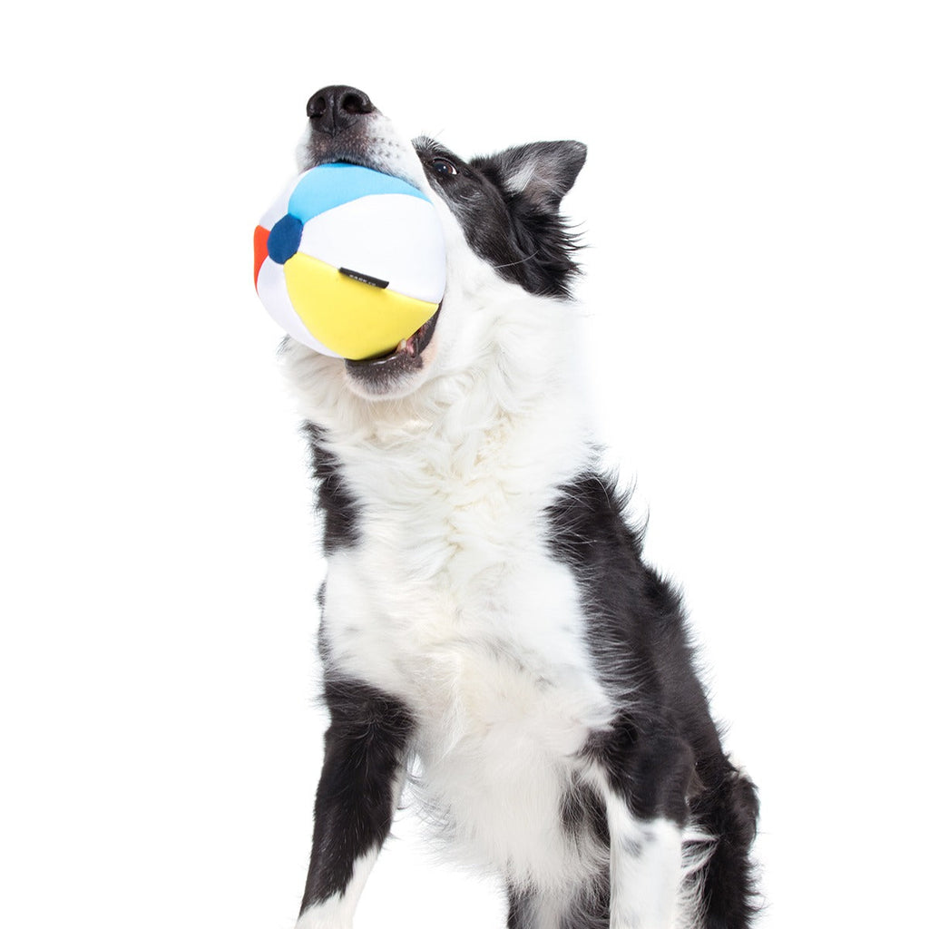 Spike The Beach Ball Super Chewer Durable 2-in-1 + Fetch Dog Toy