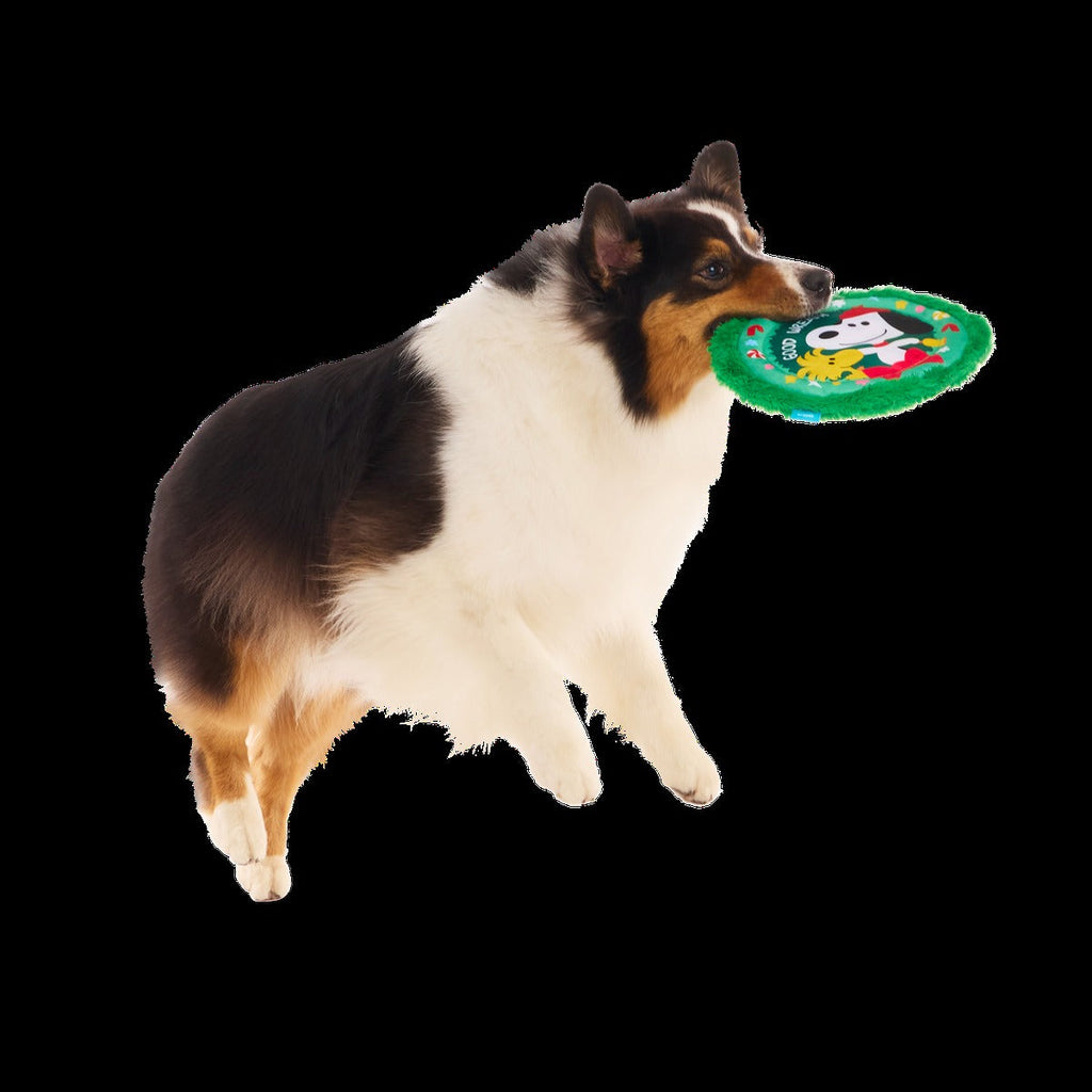 Disc The Halls Plush Fetch Dog Toy