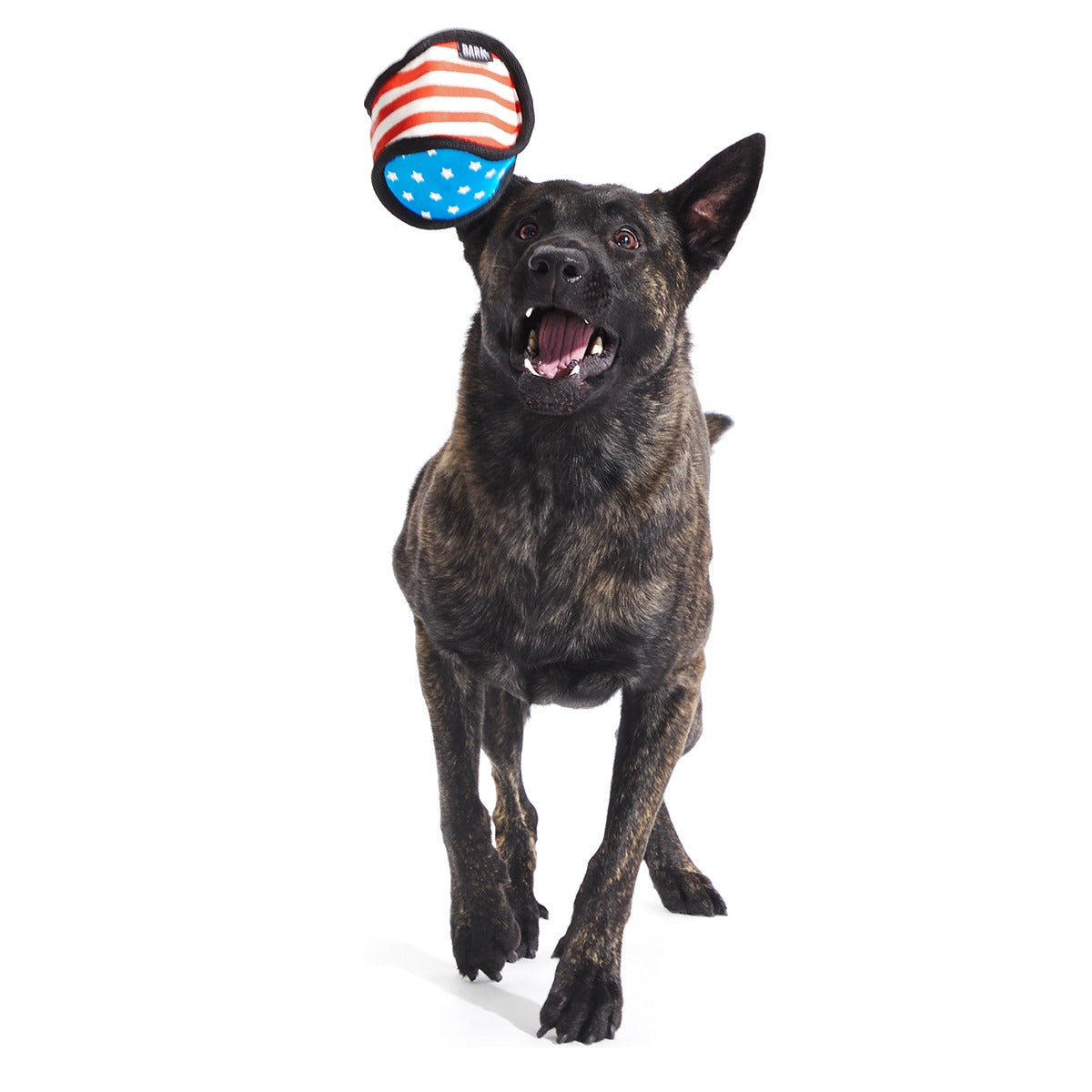 Base Brawl Super Chewer Durable 2-in-1 + Fetch Dog Toy