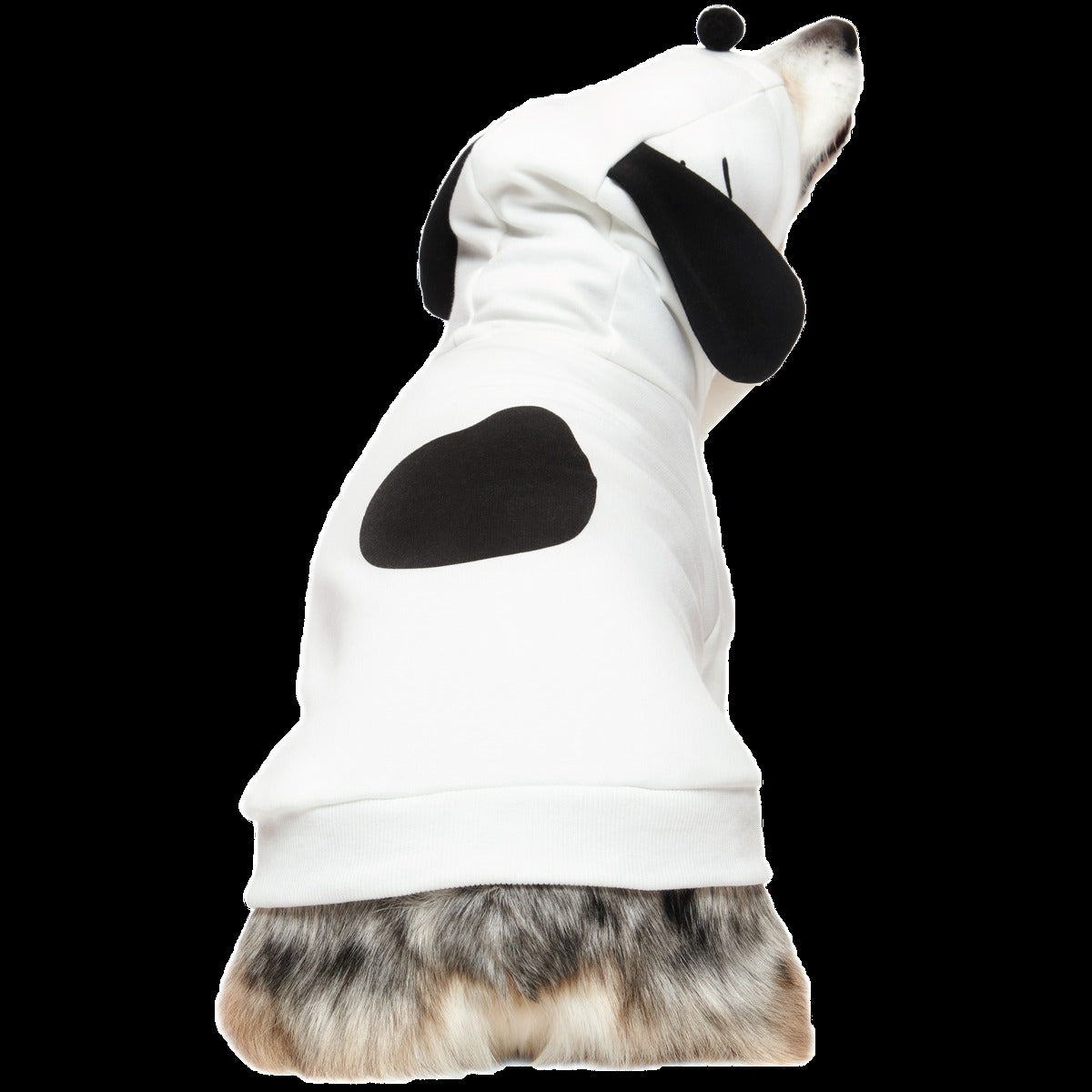 Snoopy Dog Hoodie