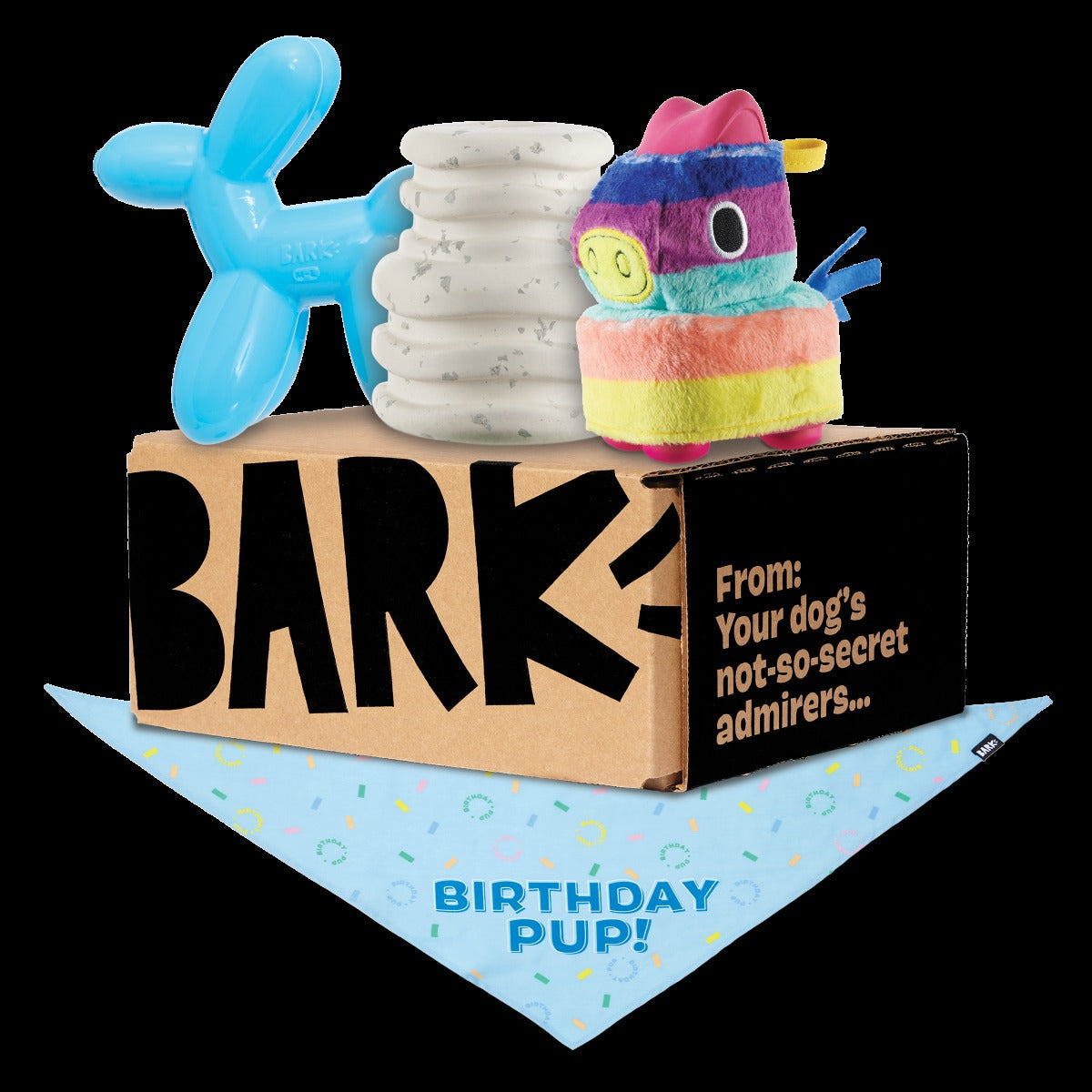 Birthday Super Chewer Box (Toy-Only) - One Month Gift Box