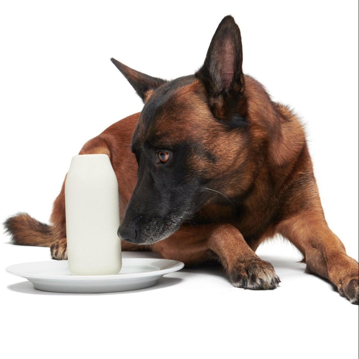 Fun Percent Milk Super Chewer Durable Fetch Dog Toy