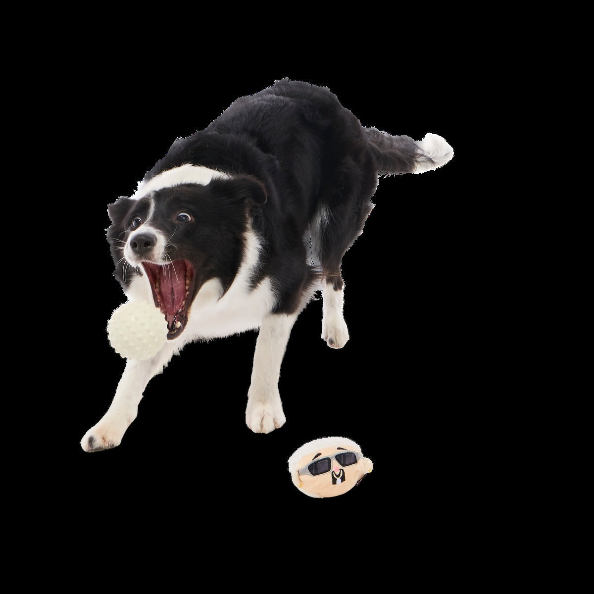 Gnawcklehead Super Chewer Durable Enrichment + Fetch Dog Toy