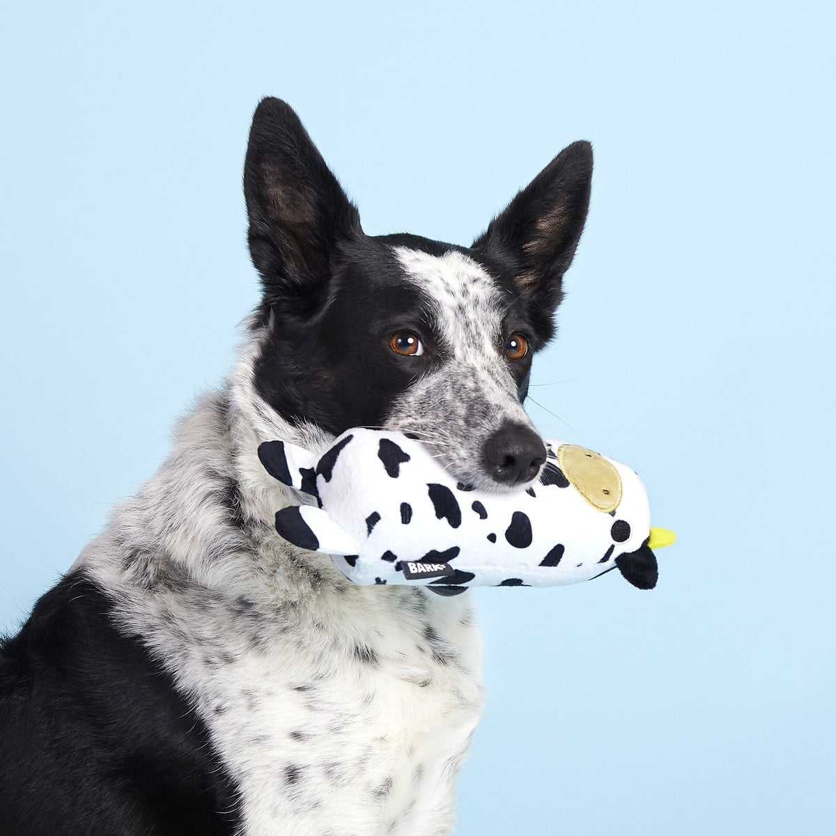 Mad Cow Super Chewer Durable 2-in-1 Dog Toy