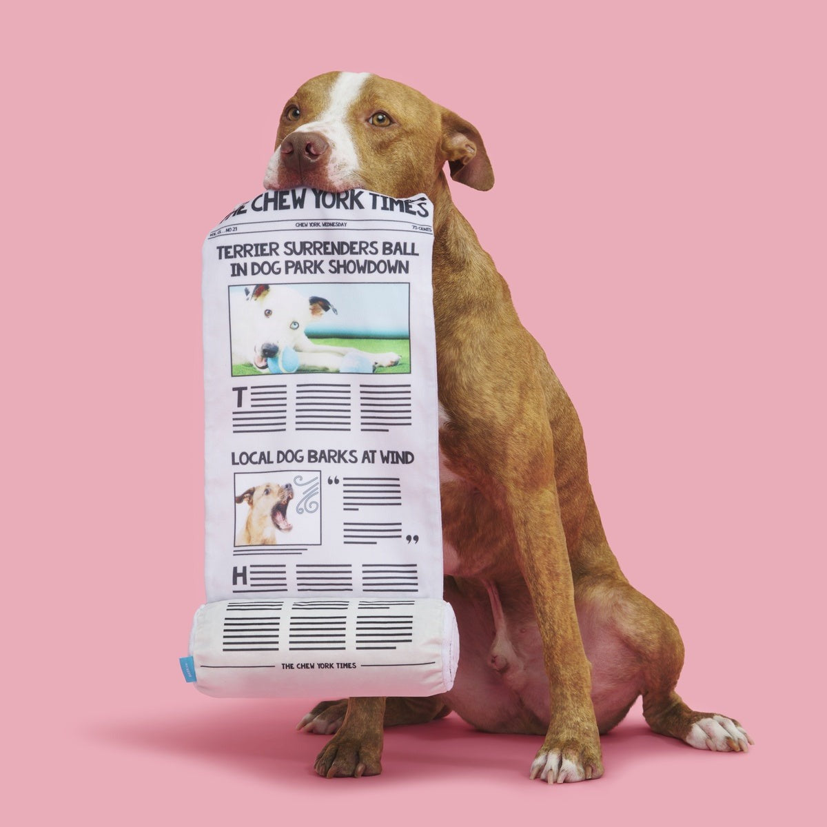 The Chew York Times Plush Tug + Enrichment Dog Toy
