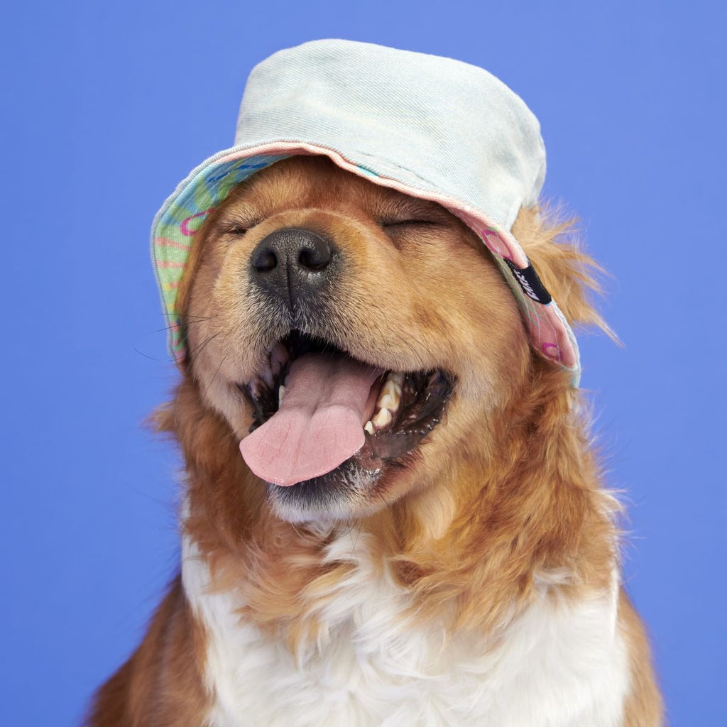 Summertime Reversible Bucket Dog Hat
