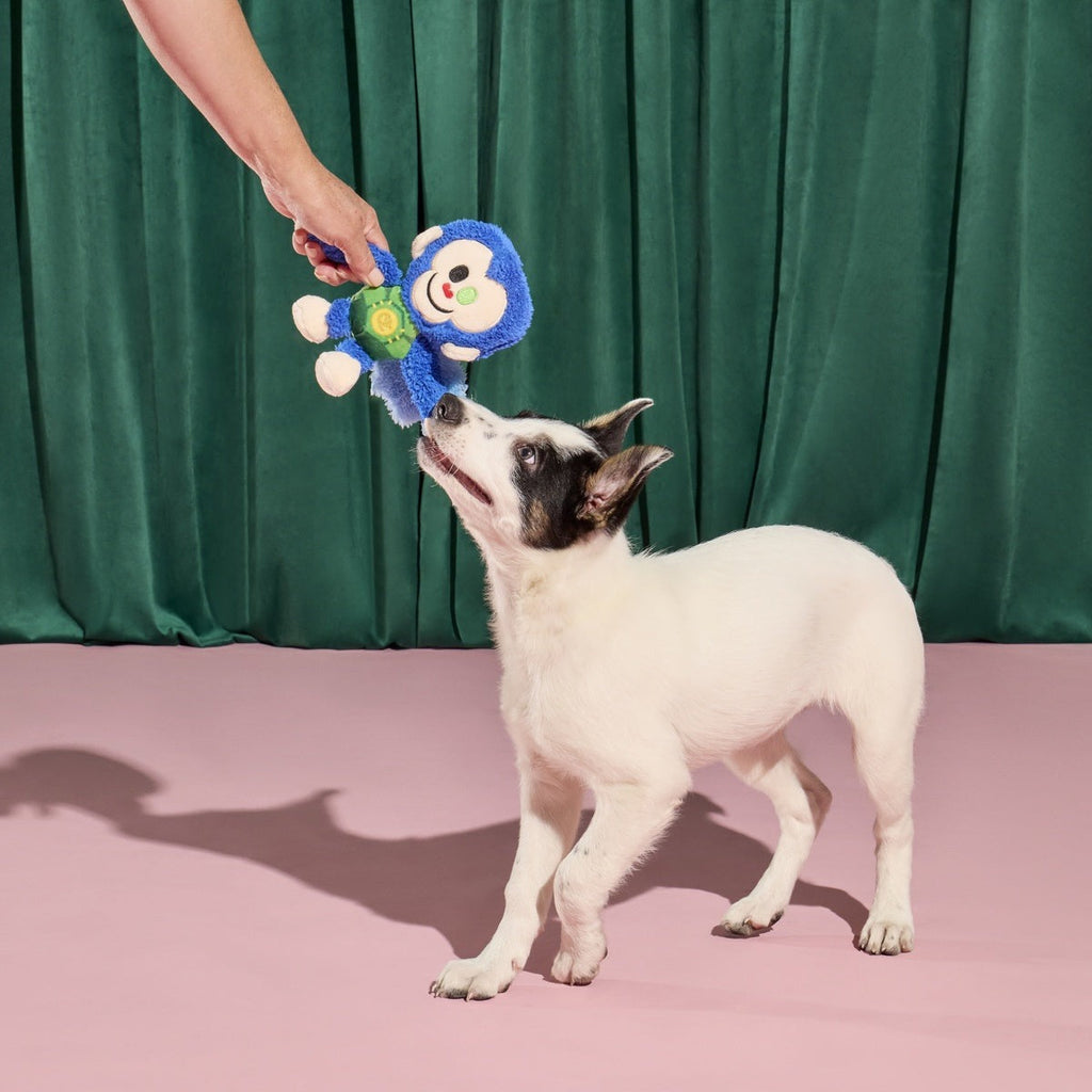 Defying Gravity Chistery Plush Tug Dog Toy