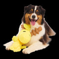 Reinbird Plush Extra-Large + Tug Dog Toy