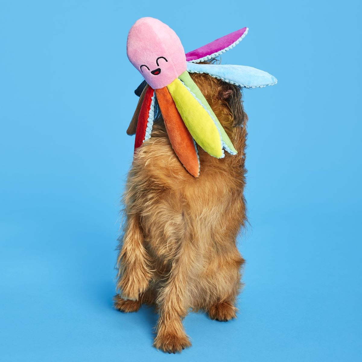 Out Ollie Plush Tug Dog Toy