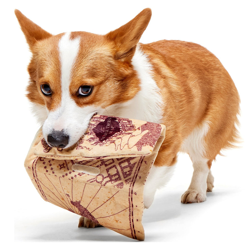 Marauder’s MapTM Plush Tug Dog Toy