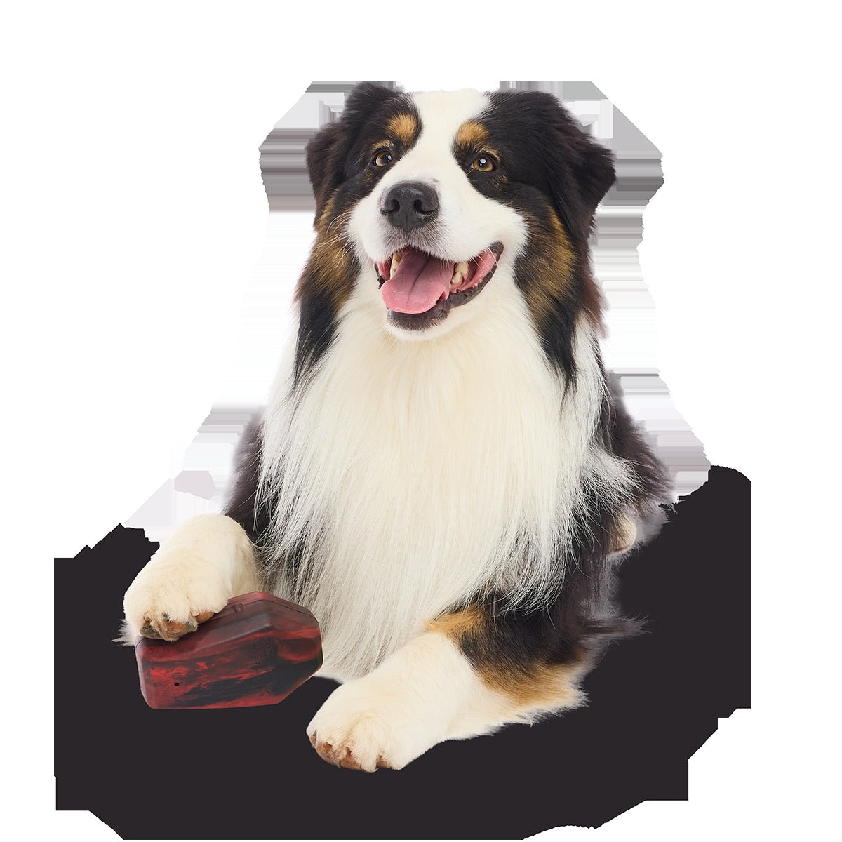 Rest In Treats Super Chewer Durable Enrichment Dog Toy