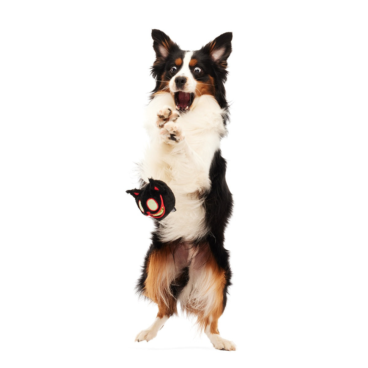 The Nightmeower Super Chewer Durable 2-in-1 + Fetch + Enrichment Dog Toy