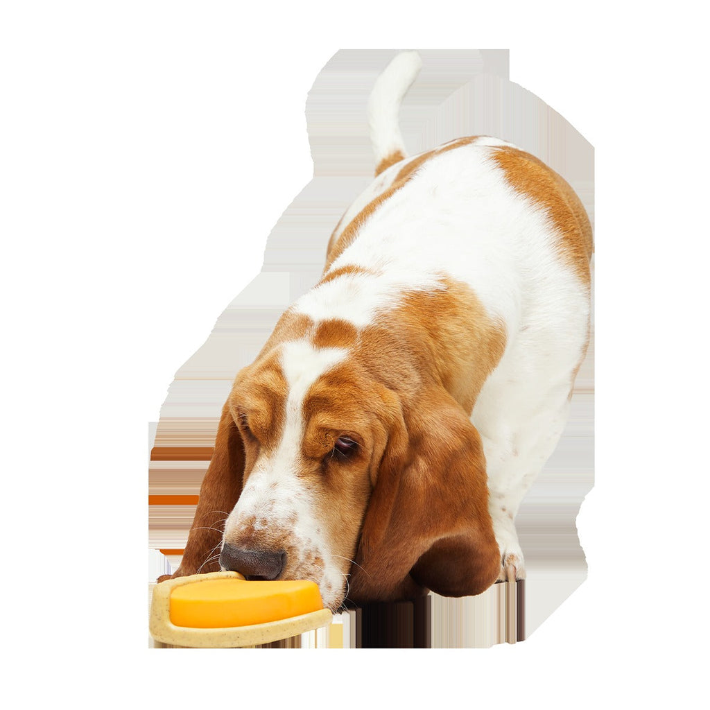 Powered Up Pie Super Chewer Durable Gnaw Dog Toy