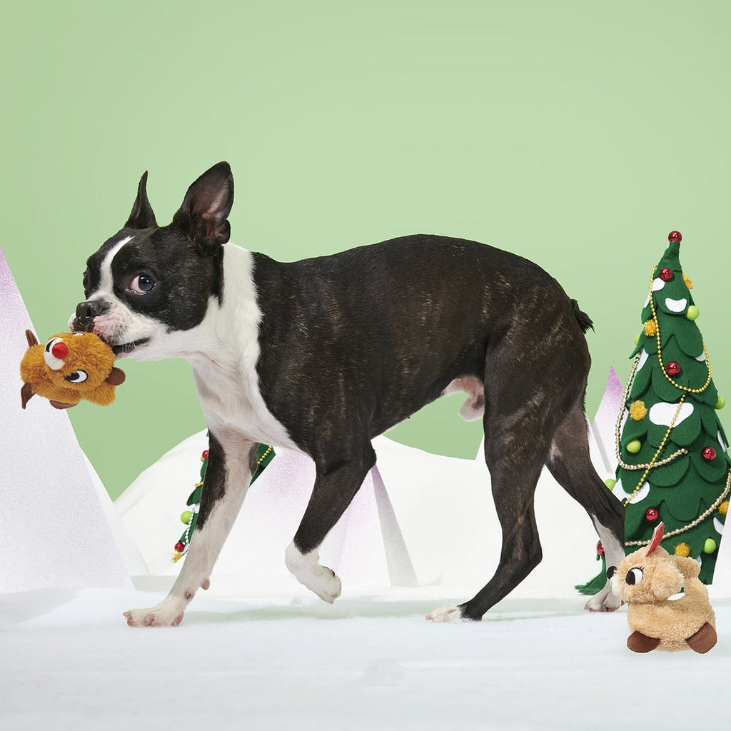 Rudolph® & ClariceTM Plush Multi-Part Dog Toy