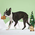 Rudolph® & ClariceTM Plush Multi-Part Dog Toy
