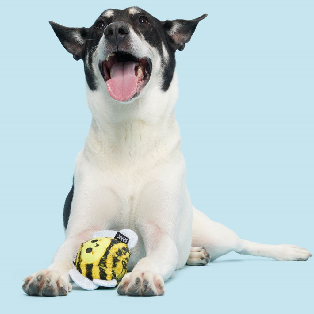 Buzzy Body Super Chewer Durable 2-in-1 Dog Toy