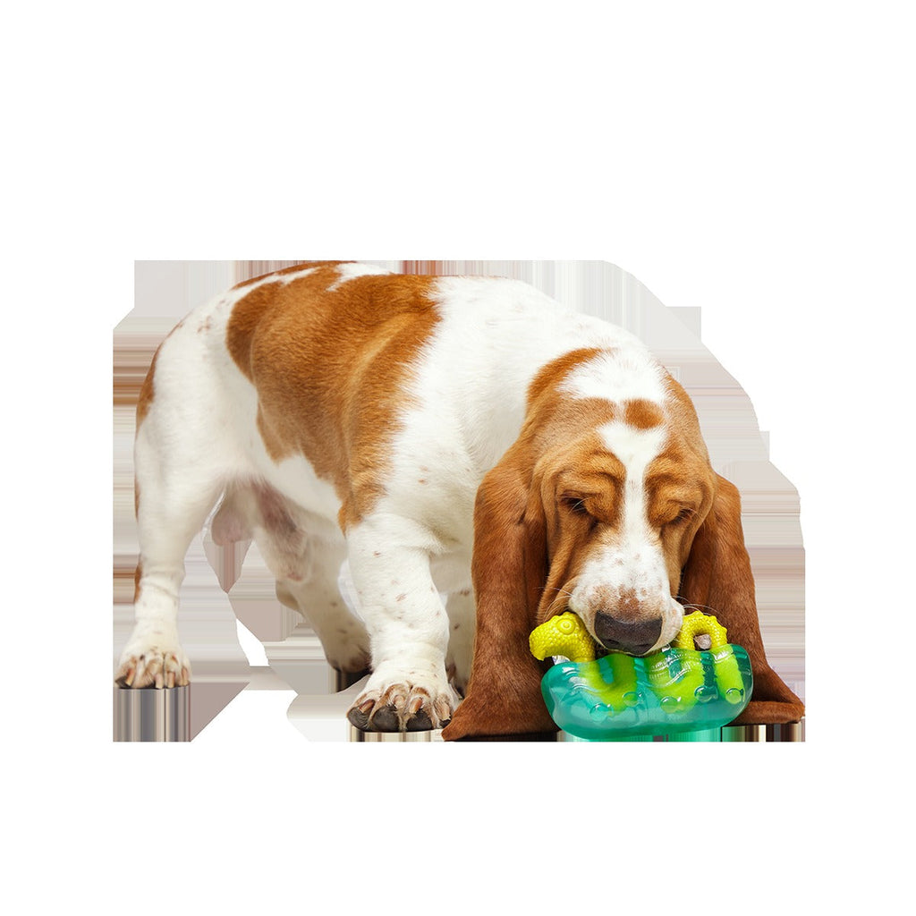 The Dogness Monster Super Chewer Durable Gnaw Dog Toy