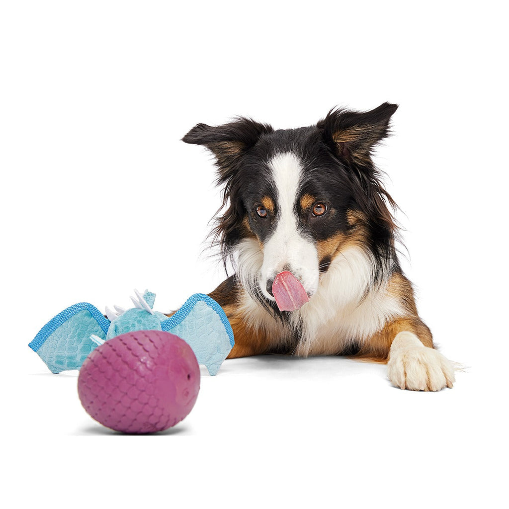 Brrrtha The Dragon Super Chewer Durable 2-in-1 + Tug + Fetch Dog Toy