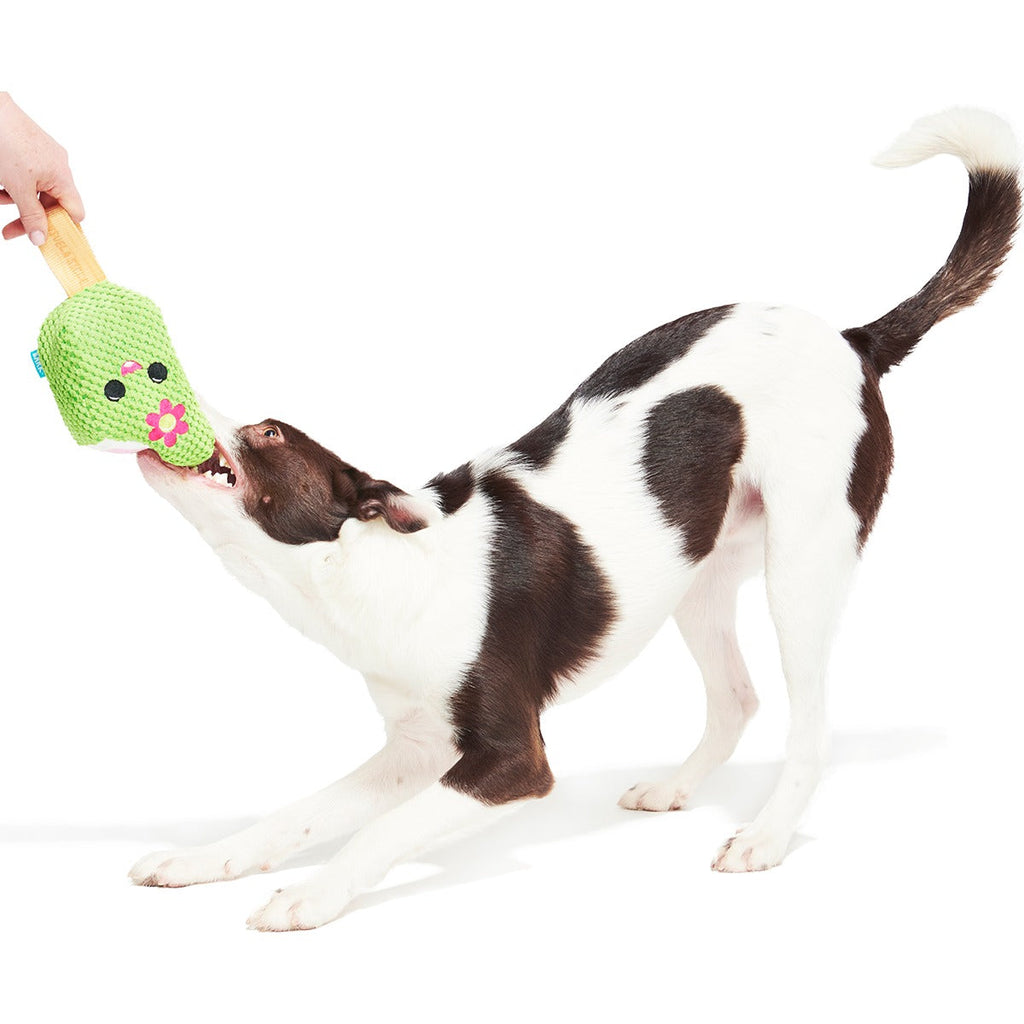 Consuela Pop Plush 2-in-1 + Tug Dog Toy