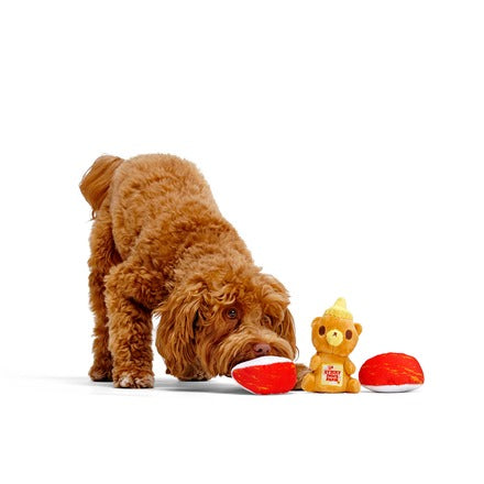 Squeaky New Year Bundle Plush Multi-Part Dog Toy