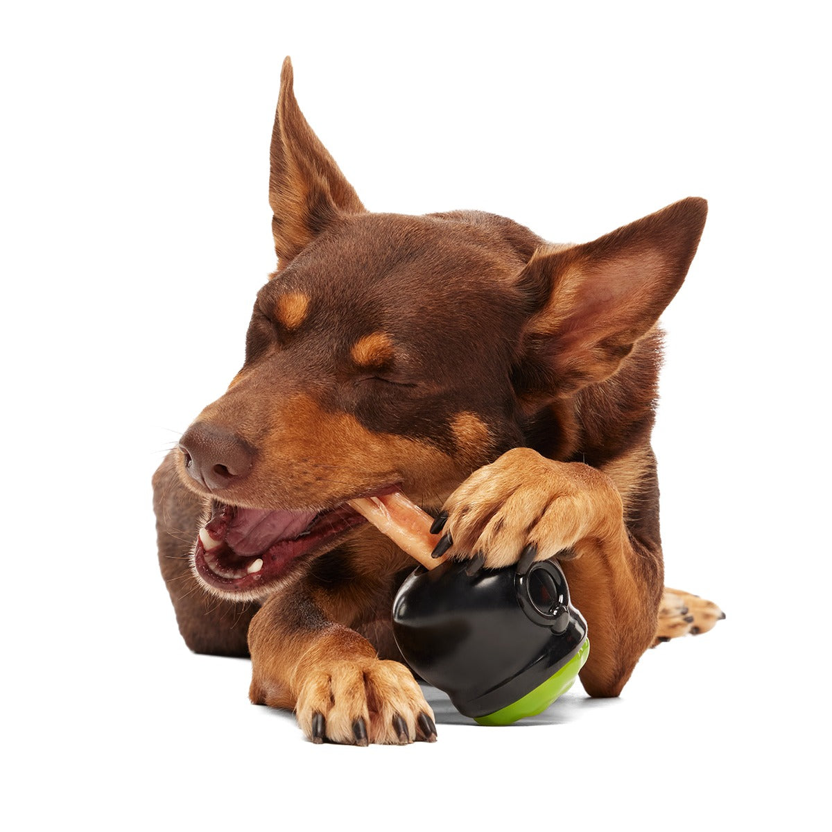 Gnawldron Super Chewer Durable Enrichment Dog Toy