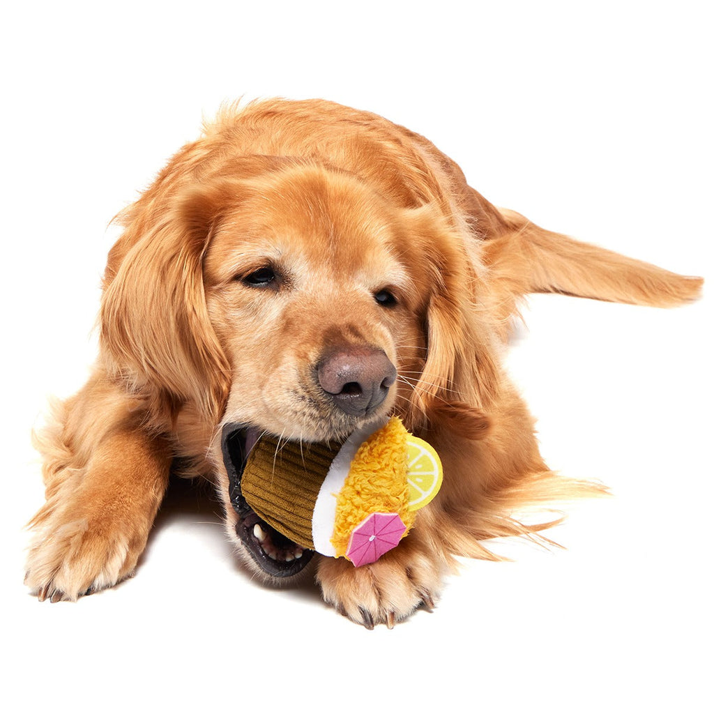 Coco-Mutt Cocktail Super Chewer Durable 2-in-1 + Fetch + Enrichment Dog Toy